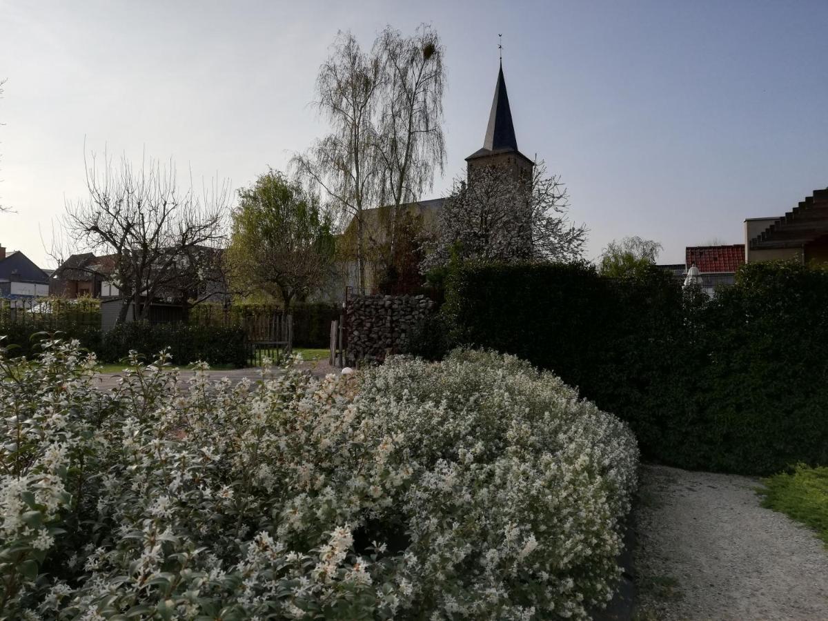 B&B 'T Huys Van Enaeme Oudenaarde Exteriér fotografie
